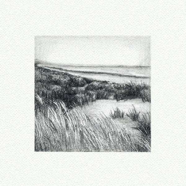 Beach Pencil Landscape