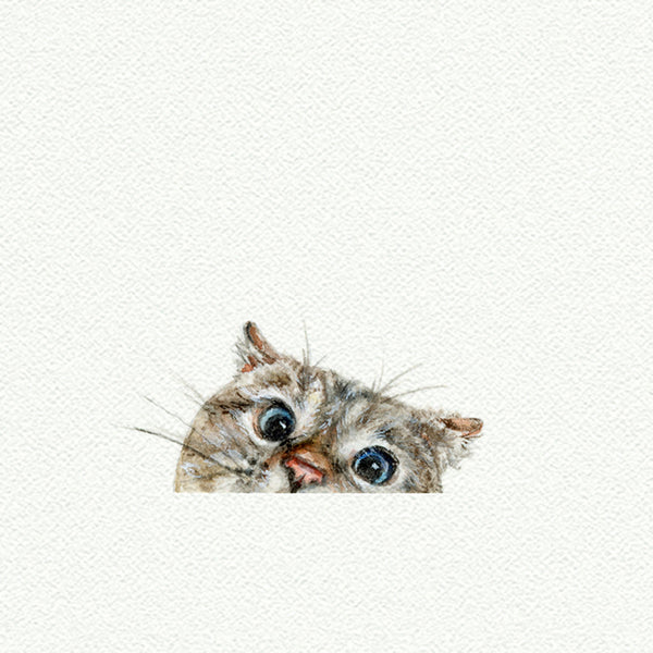 Peeking Cat