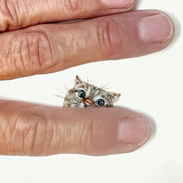 Peeking Cat