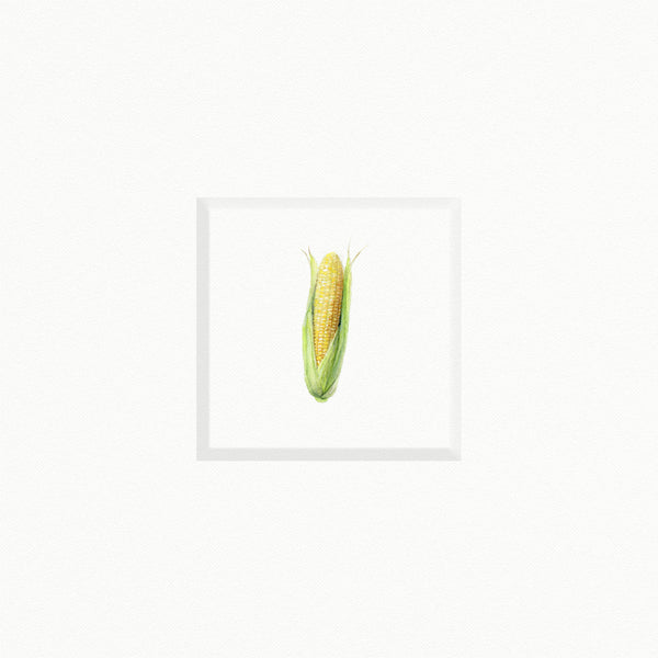 Corn