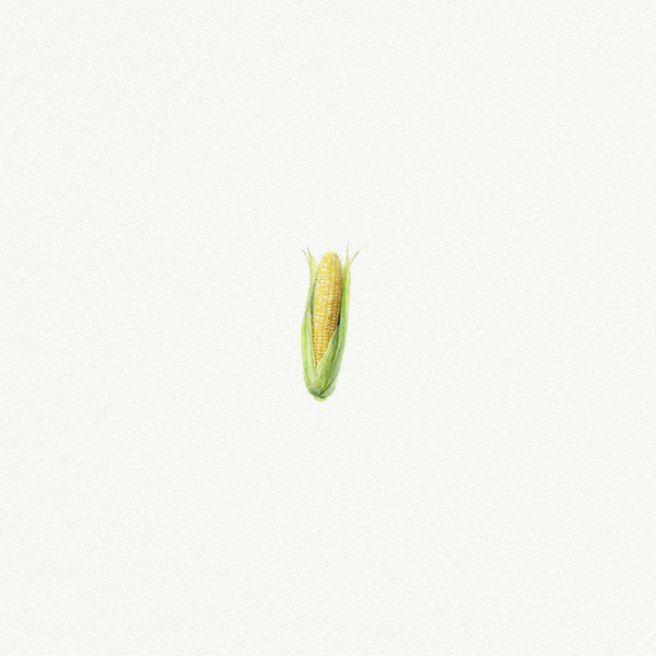 Corn