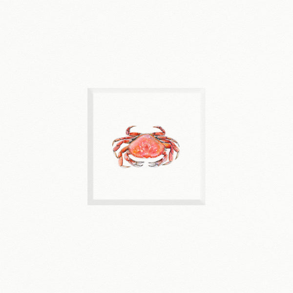 Crab