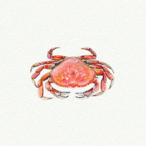 Crab