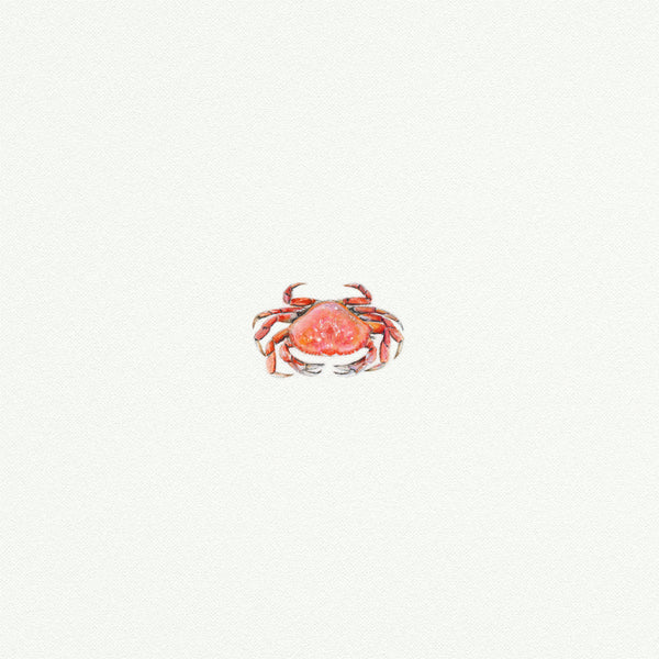 Crab