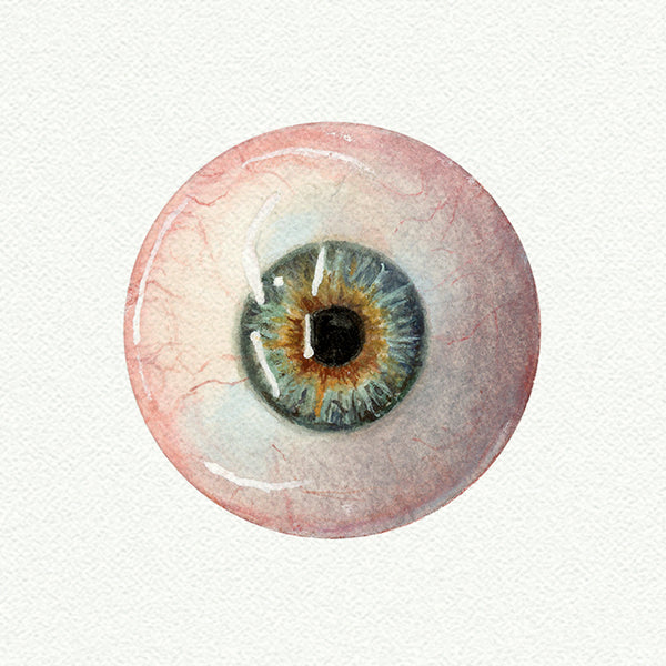 Eyeball