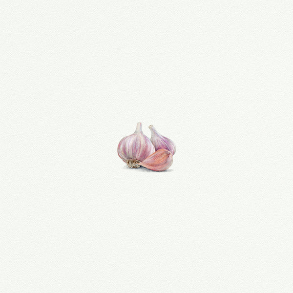 Garlic