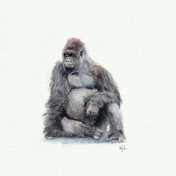 Gorilla 1 - Open Edition