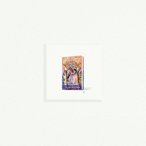 Harry Potter book - Open Edition
