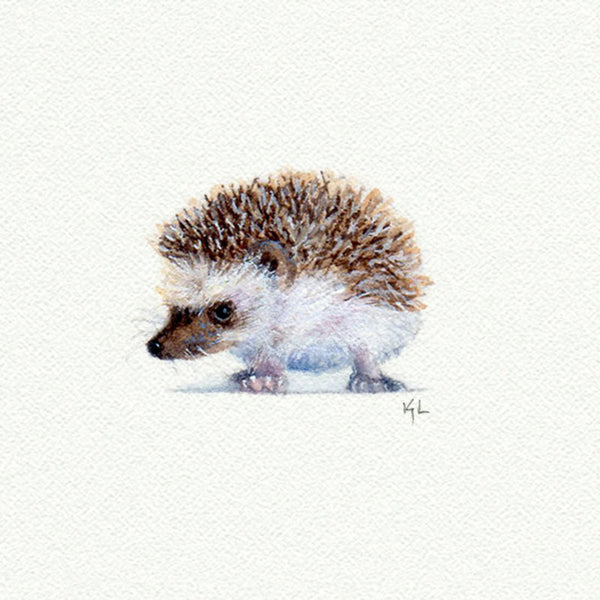 Hedgehog - Open Edition