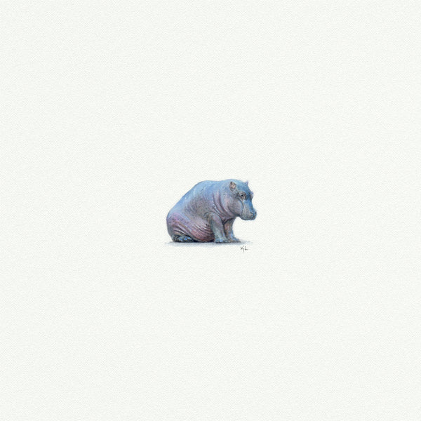 Hippo  - Open Edition
