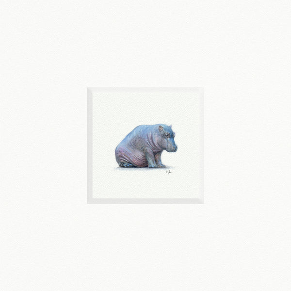 Hippo  - Open Edition