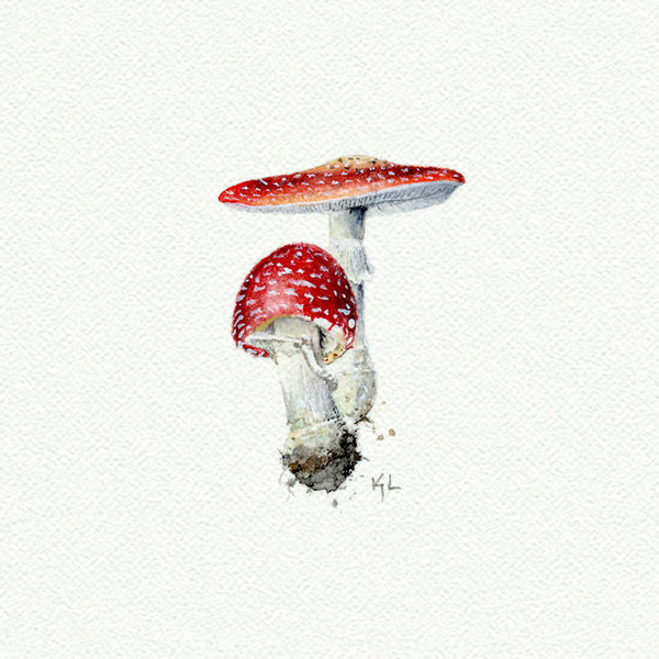 Mushrooms - Open Edition