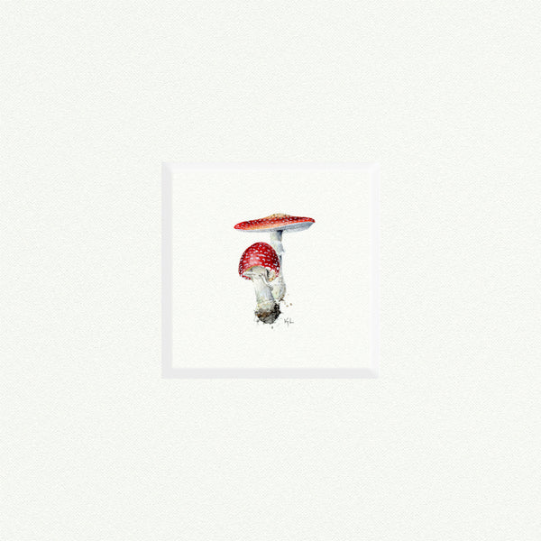 Mushrooms - Open Edition
