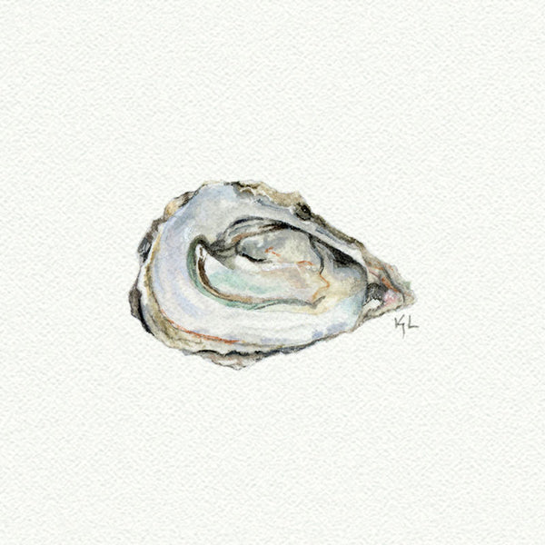 Oyster - Open Edition