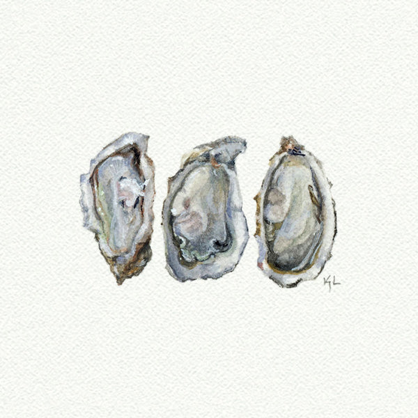 Oysters - Open Edition