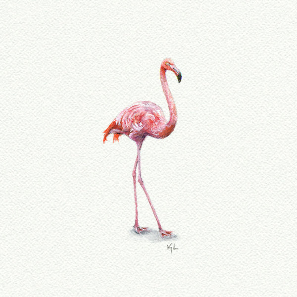 Pink Flamingo - Open Edition