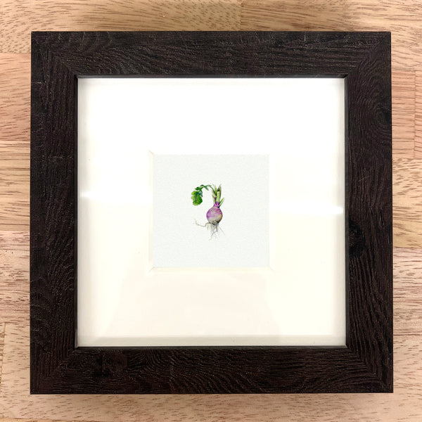 Radish (Original)