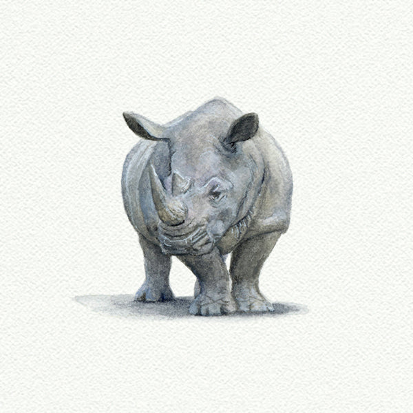 Rhinosaurus