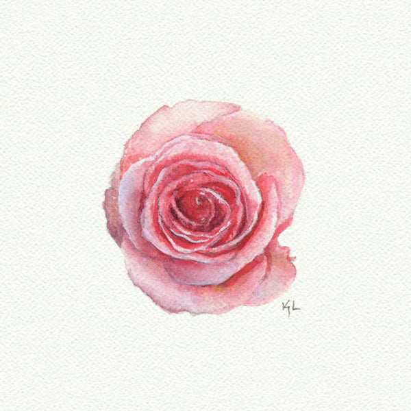 Rose - Open Edition