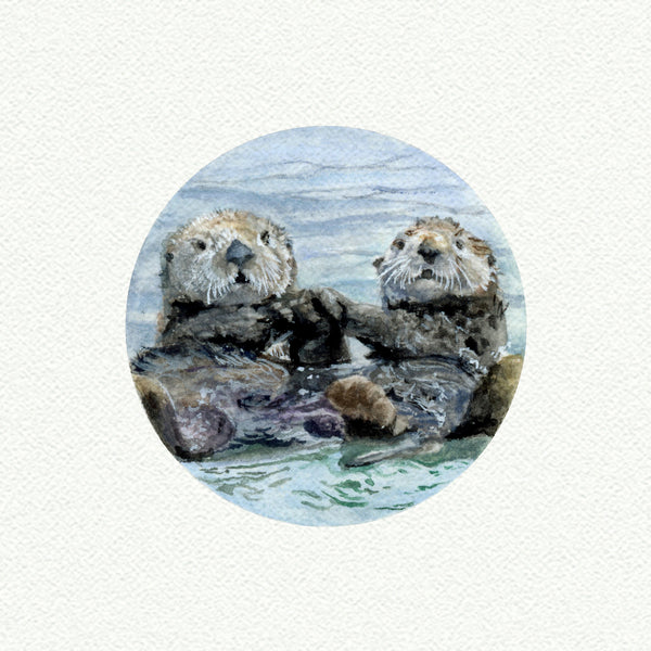 Sea Otters