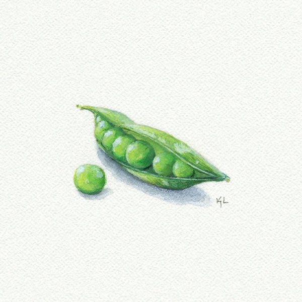 Sweet Pea - Open Edition