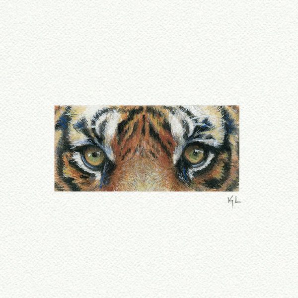 Tiger Eyes - Open Edition