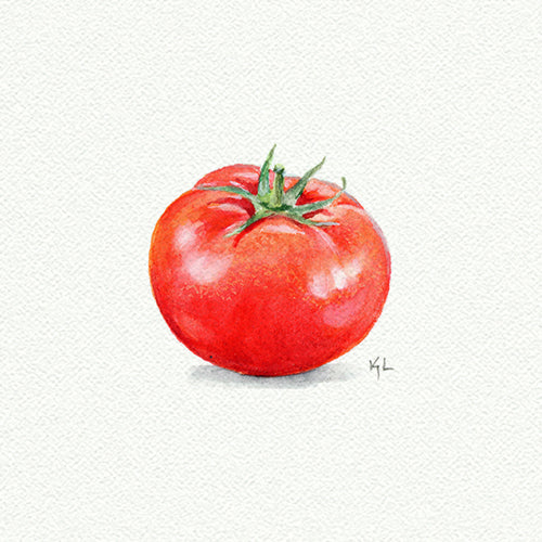 Tomato - Open Edition