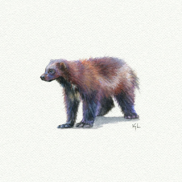 Wolverine - Open Edition