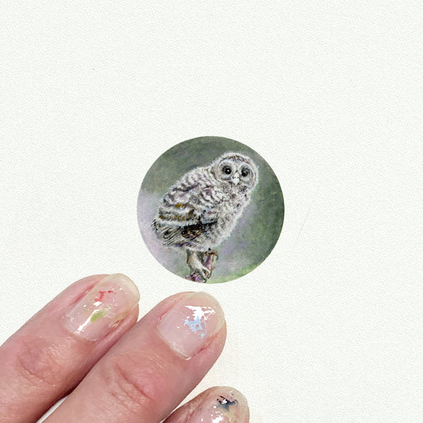 Owlet