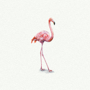 Limited Edition Prints