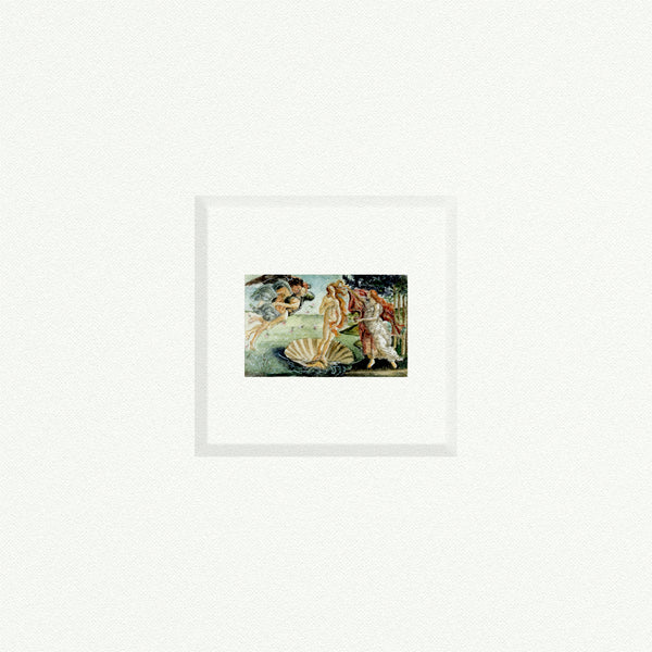 Birth of Venus Draft