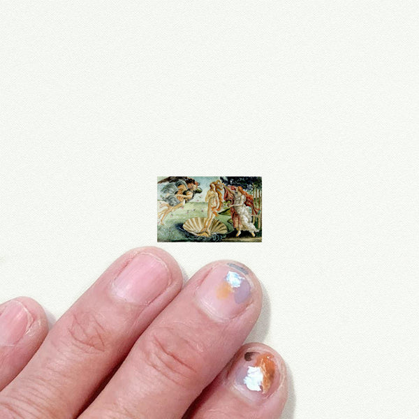 Birth of Venus Draft