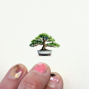 Bonsai Tree