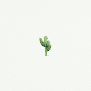 Cactus - Open Edition
