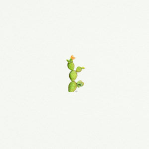Cactus Prickly Pear - Open Edition