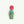Cactus Prickly Pear Red - Open Edition
