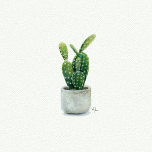 Cactus Succulent - Open Edition