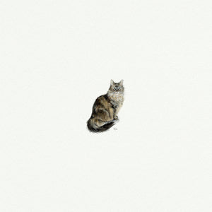 Tabby Cat - Open Edition