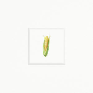 Corn