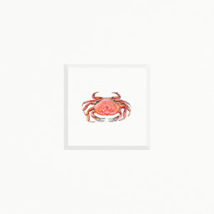 Crab
