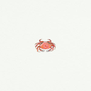 Crab