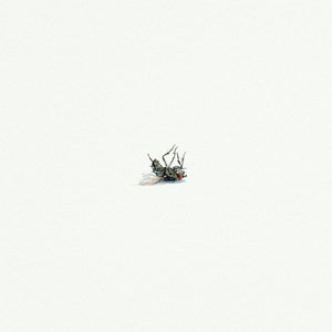 Dead Fly (Original)