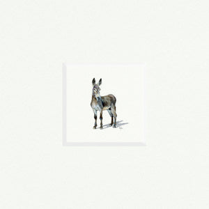 Donkey - Open Edition art print