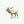 Elk Reindeer