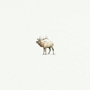 Elk Reindeer