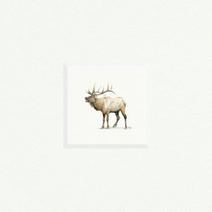 Elk Reindeer