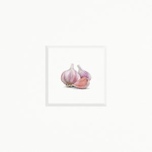 Garlic