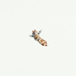 Giraffe Head
