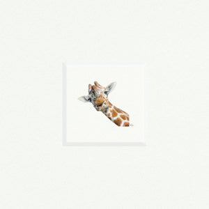 Giraffe Head