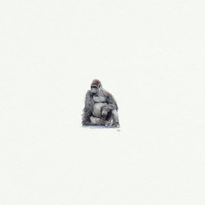 Gorilla - Open Edition